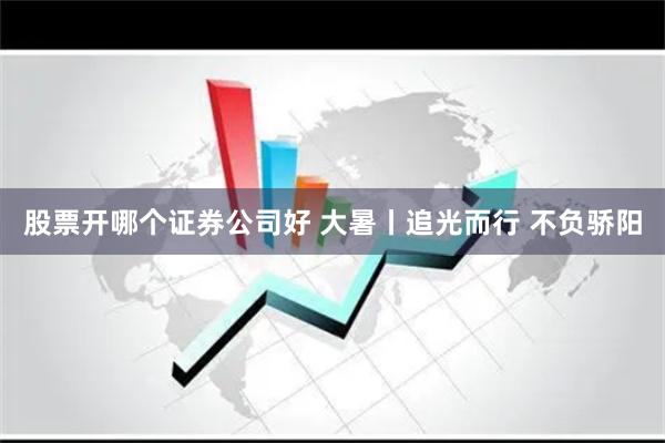 股票开哪个证券公司好 大暑丨追光而行 不负骄阳