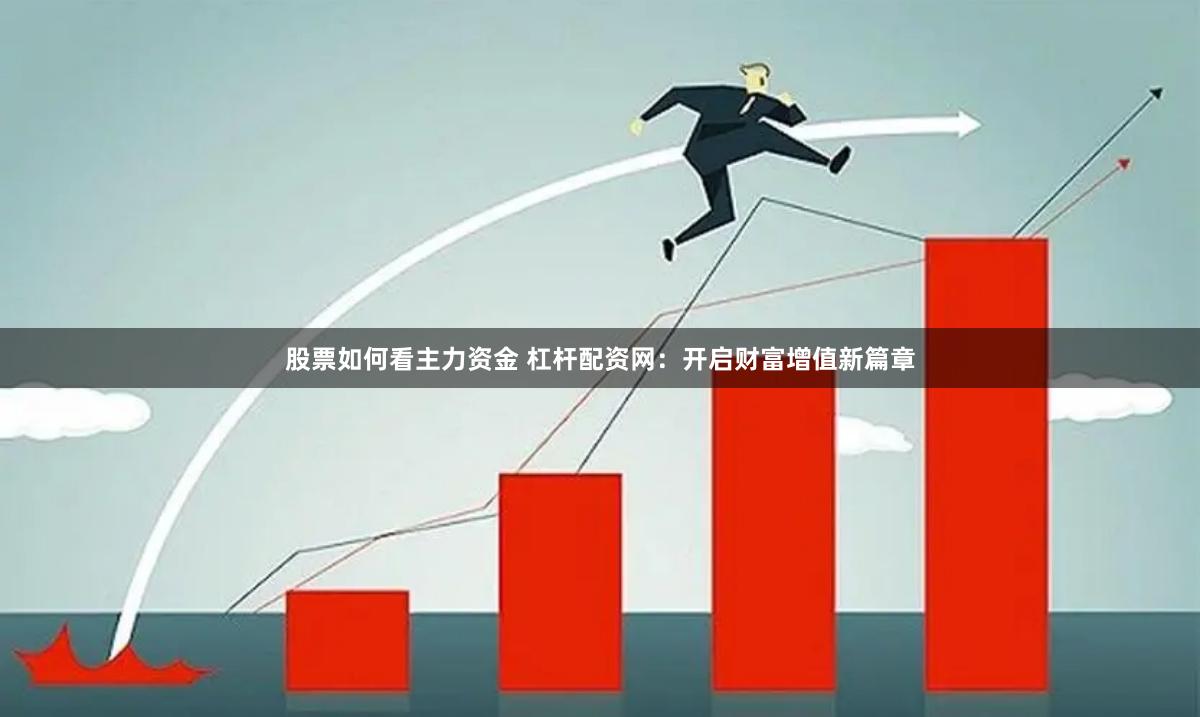 股票如何看主力资金 杠杆配资网：开启财富增值新篇章