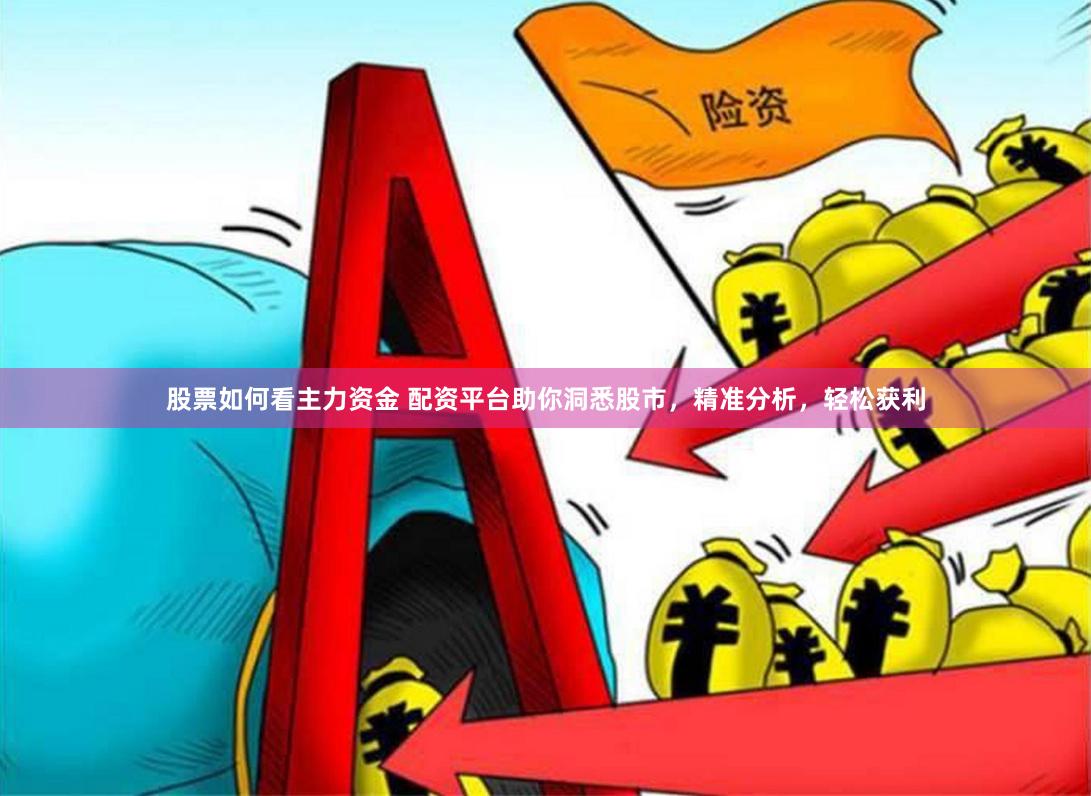 股票如何看主力资金 配资平台助你洞悉股市，精准分析，轻松获利