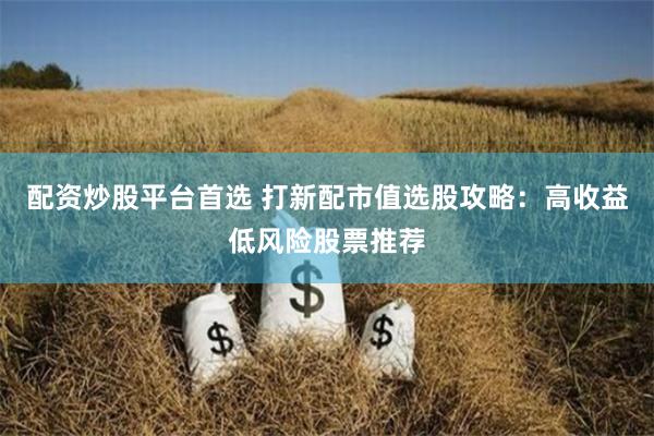 配资炒股平台首选 打新配市值选股攻略：高收益低风险股票推荐