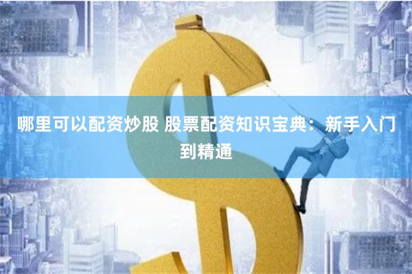 哪里可以配资炒股 股票配资知识宝典：新手入门到精通